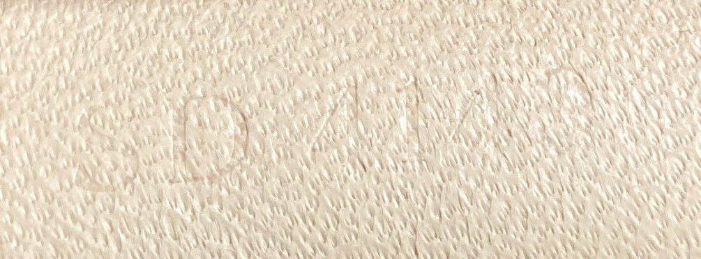 Speedy Handbag Monogram Canvas 35