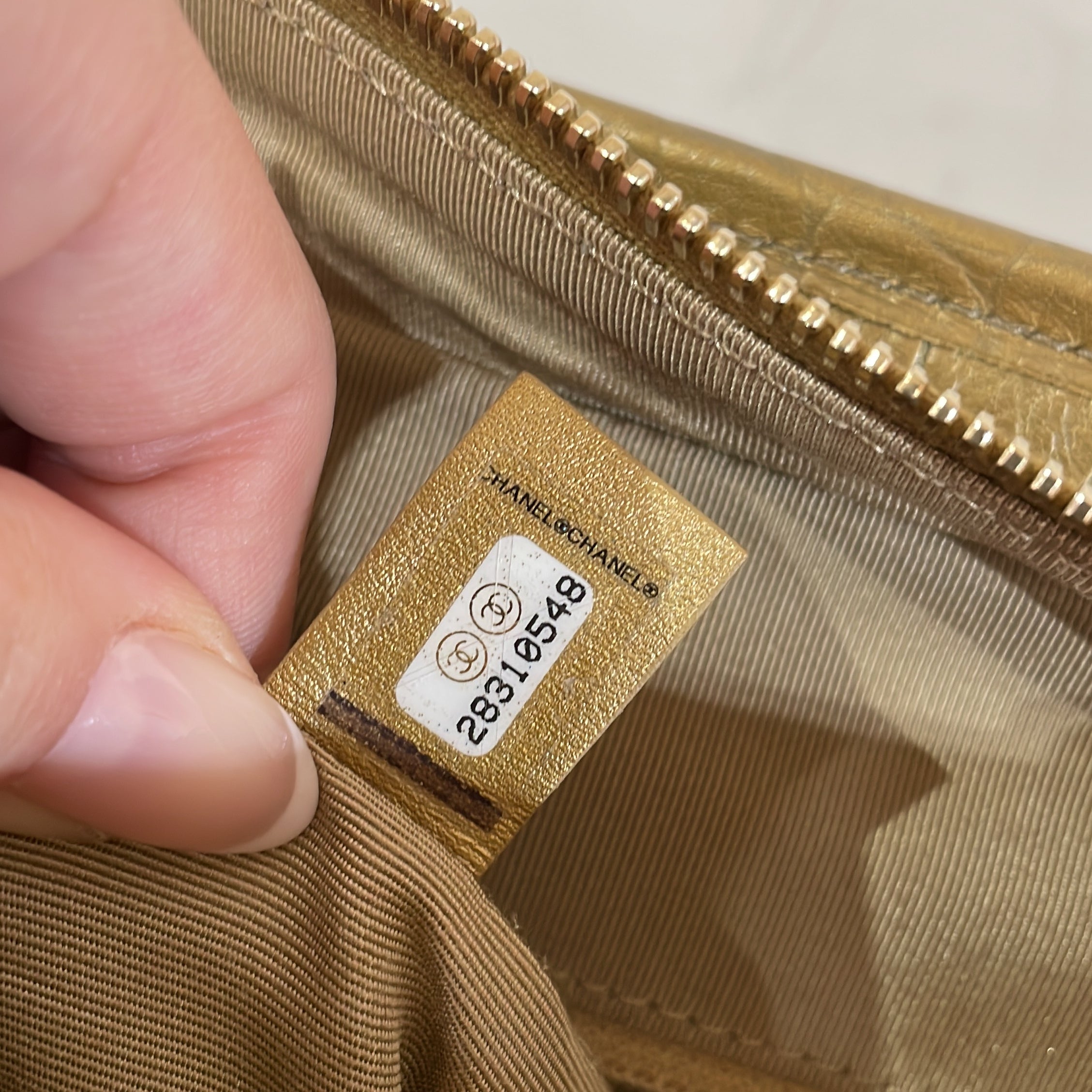 Gabrielle Hobo with Logo Handle Crocodile Embossed Calfskin Medium