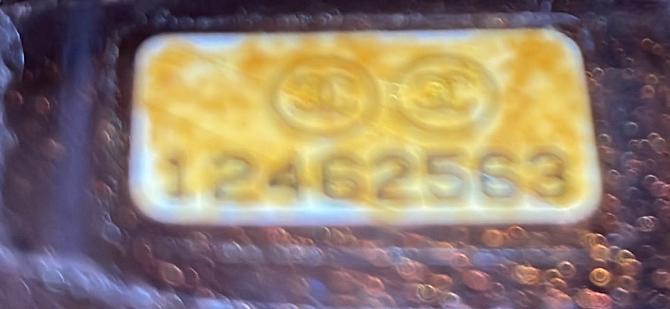 Reissue 2.55 Flap Bag with Flap Bag Coin Purse Quilted Metallic Aged Calfskin 225