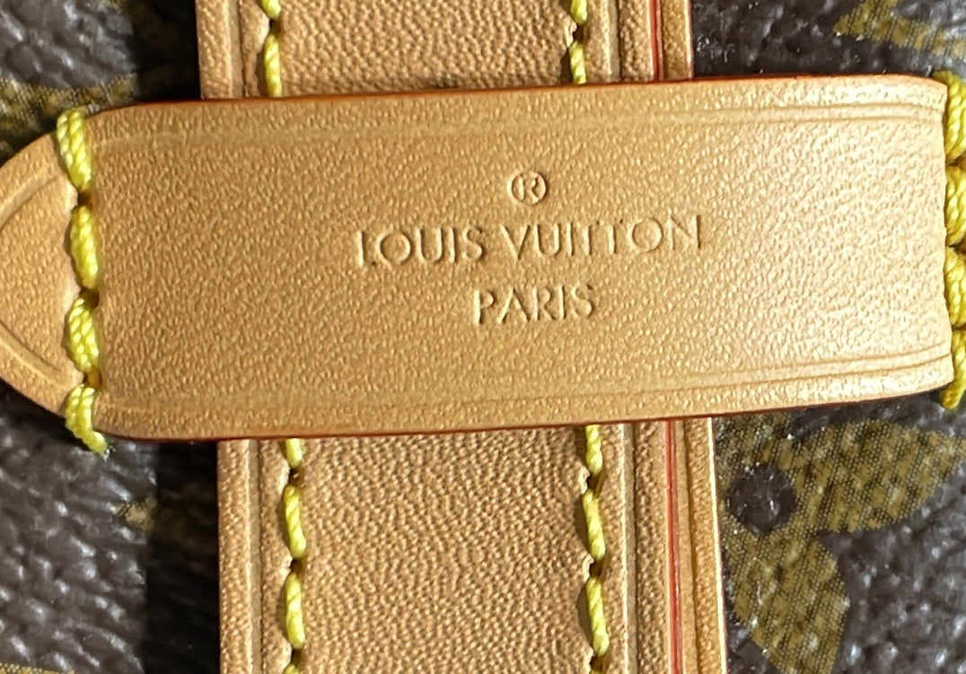 CarryAll Hobo Monogram Canvas PM