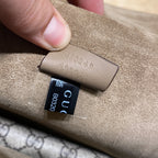 Dionysus Bag GG Coated Canvas and Leather Small