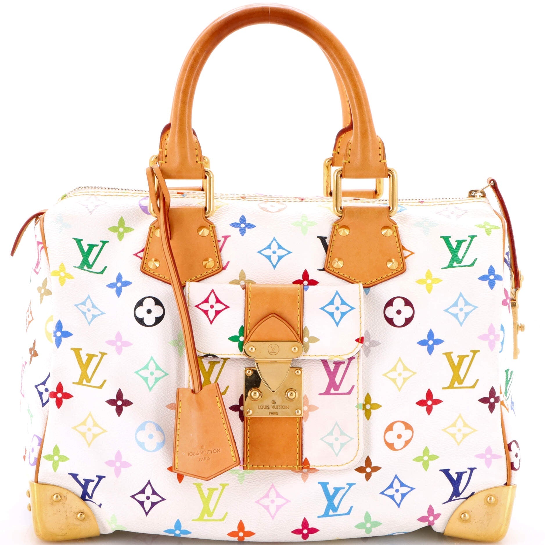 Speedy Handbag Monogram Multicolor 30