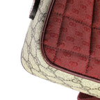 Zip Crossbody Bag GG Coated Canvas and Quilted Mini GG Canvas Small