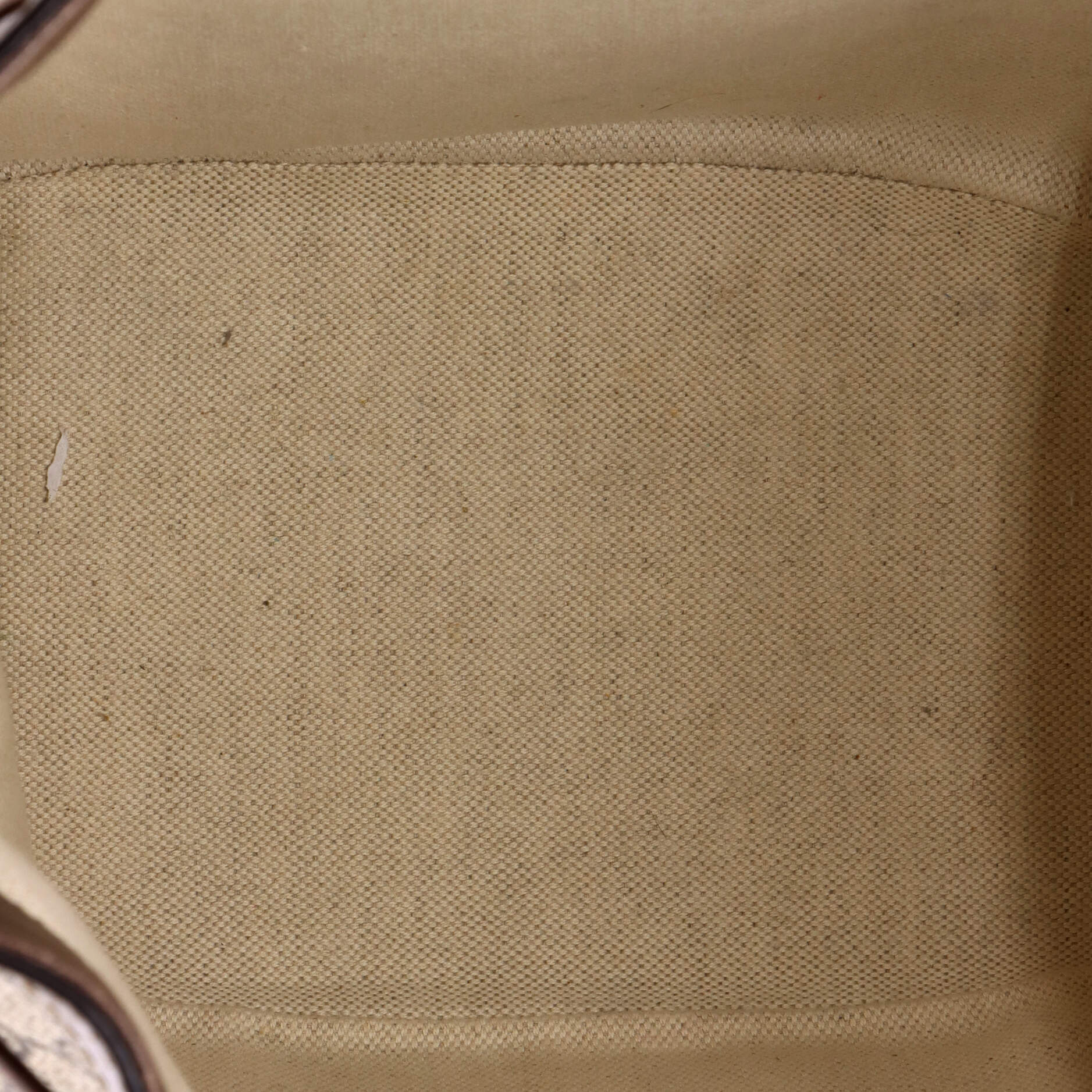 Ophidia Bucket Bag GG Coated Canvas Medium